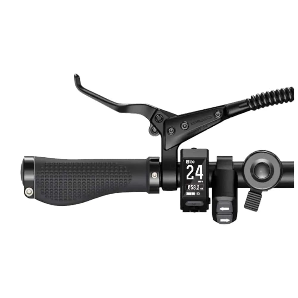 ENGWE P20 - Elektrische Vouwfiets - Zwart