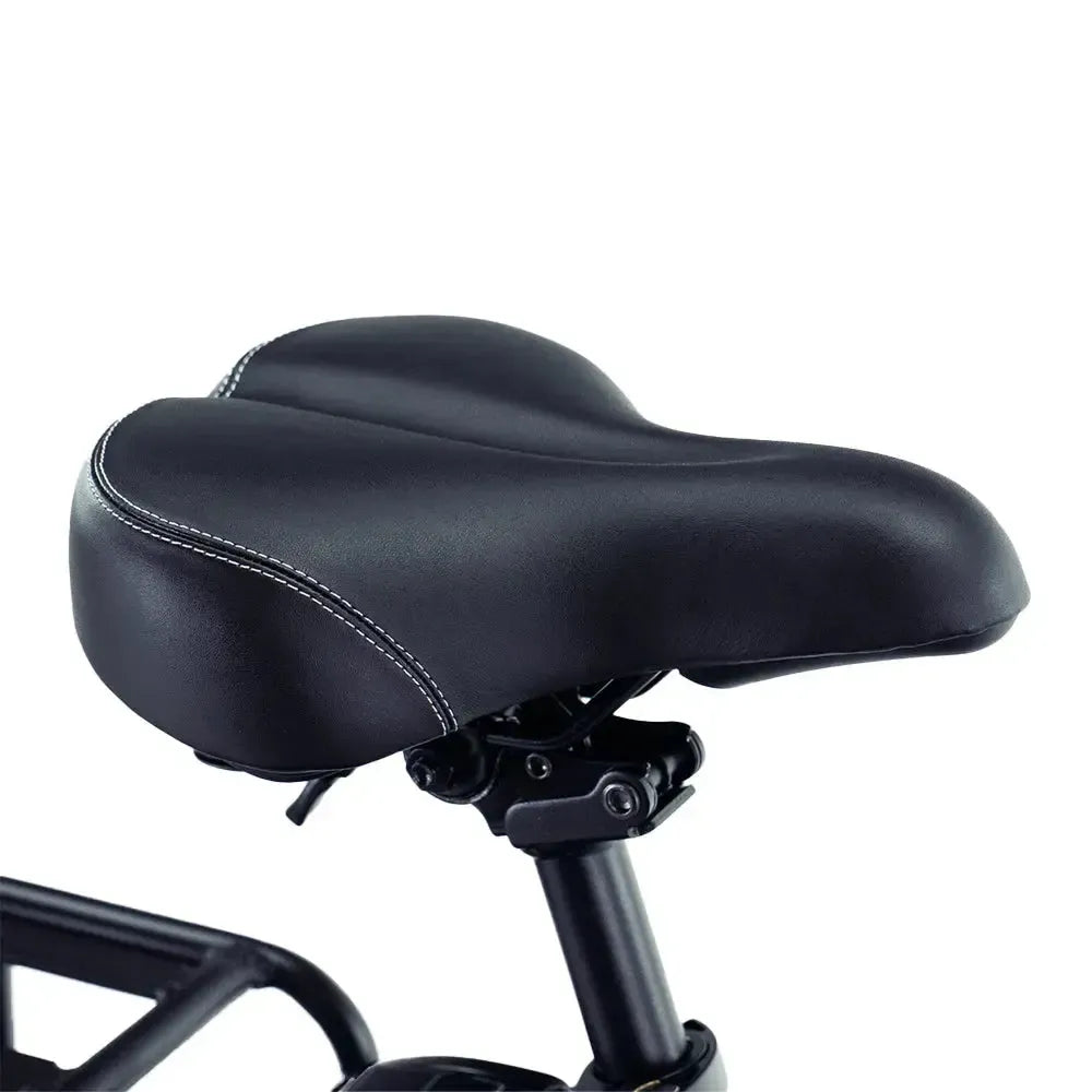 ENGWE L20 Boost - Zwart