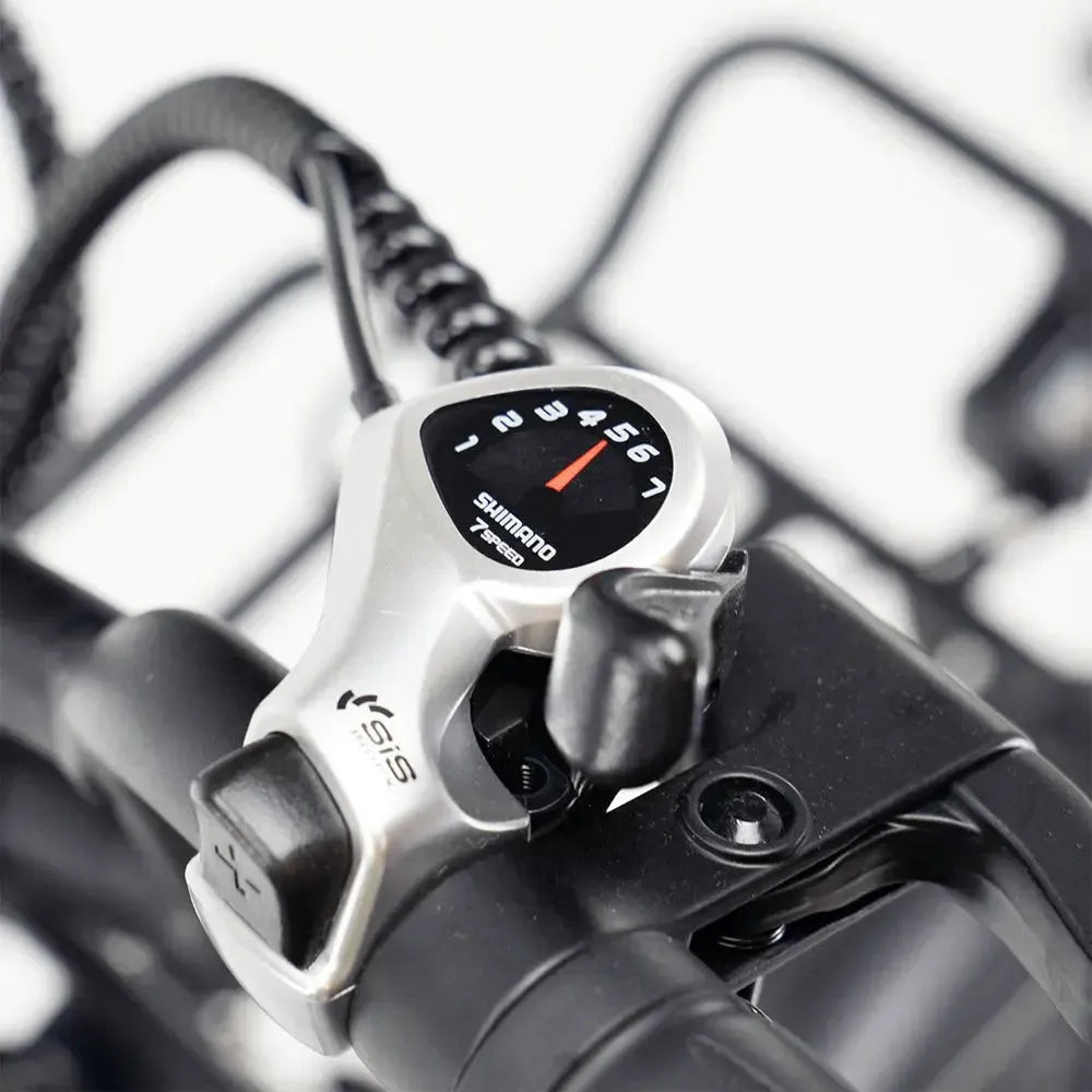 ENGWE L20 Boost - Zwart