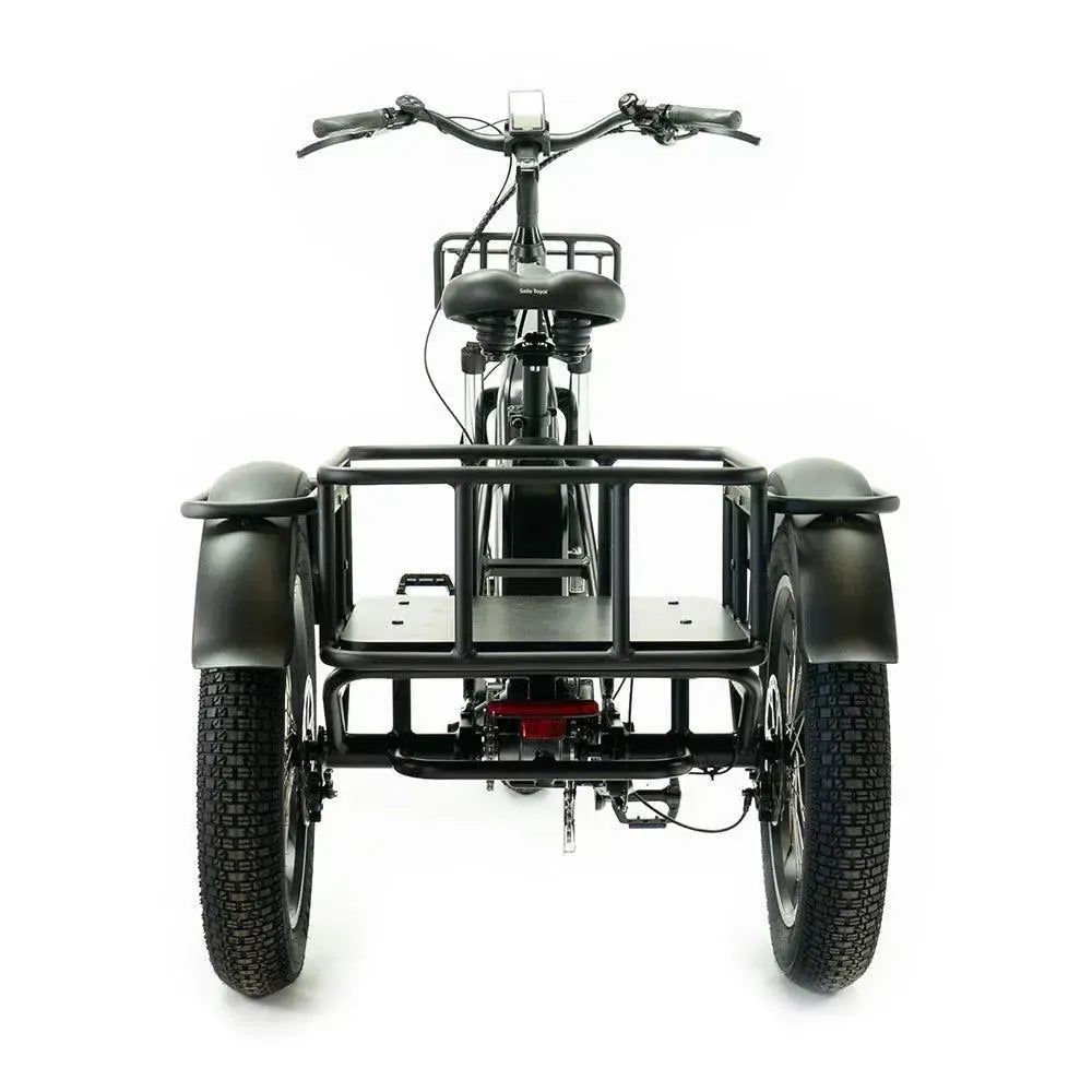 Diablo Big Foot Driewieler - Electrische minder valide fiets - Mat Zwart