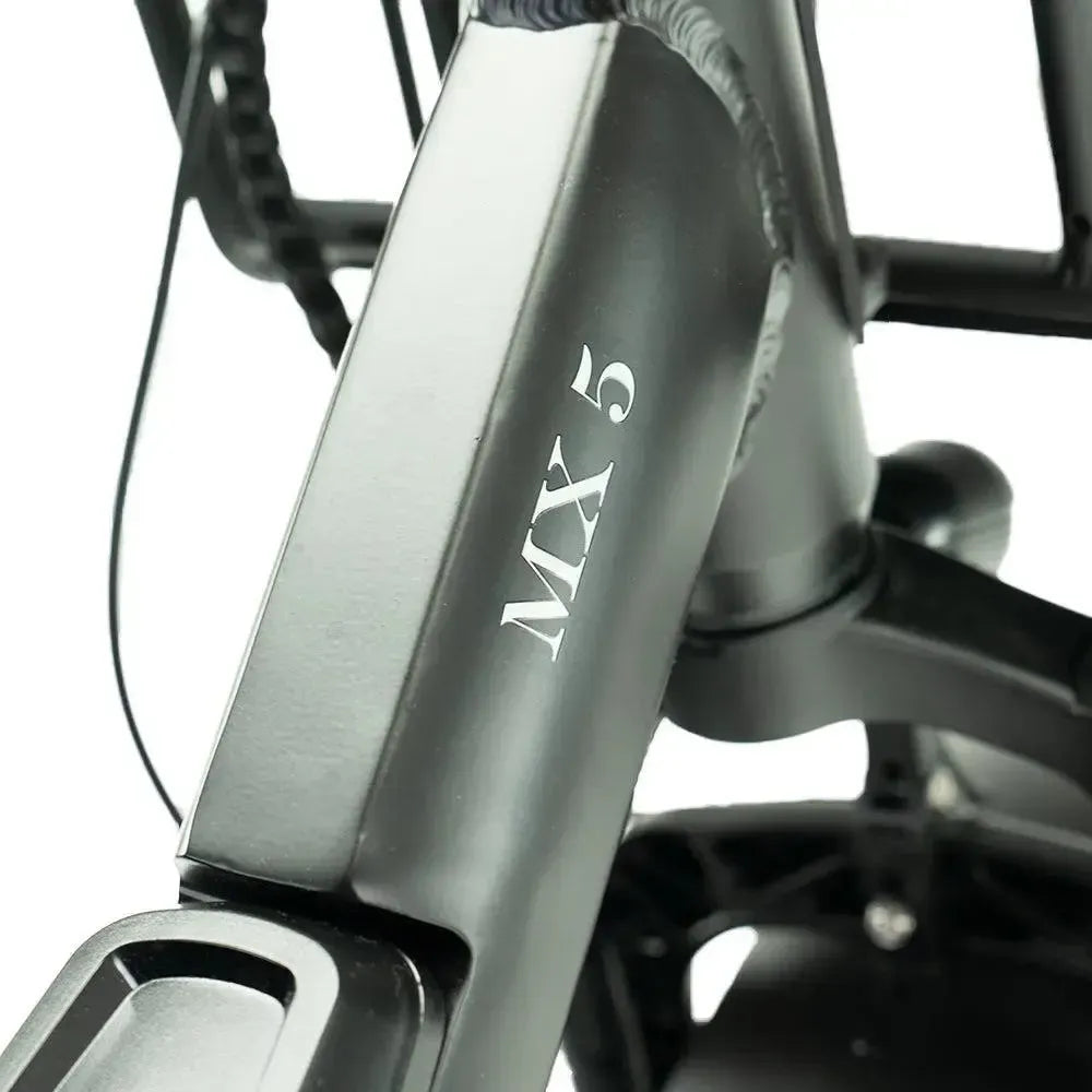 Diablo Big Foot Driewieler - Electrische minder valide fiets - Mat Zwart