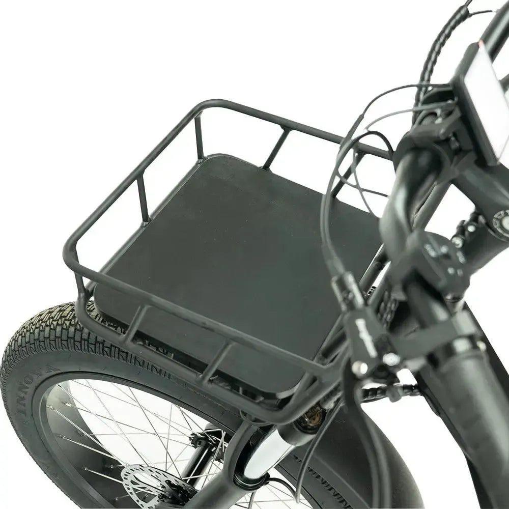 Diablo Big Foot Driewieler - Electrische minder valide fiets - Mat Zwart