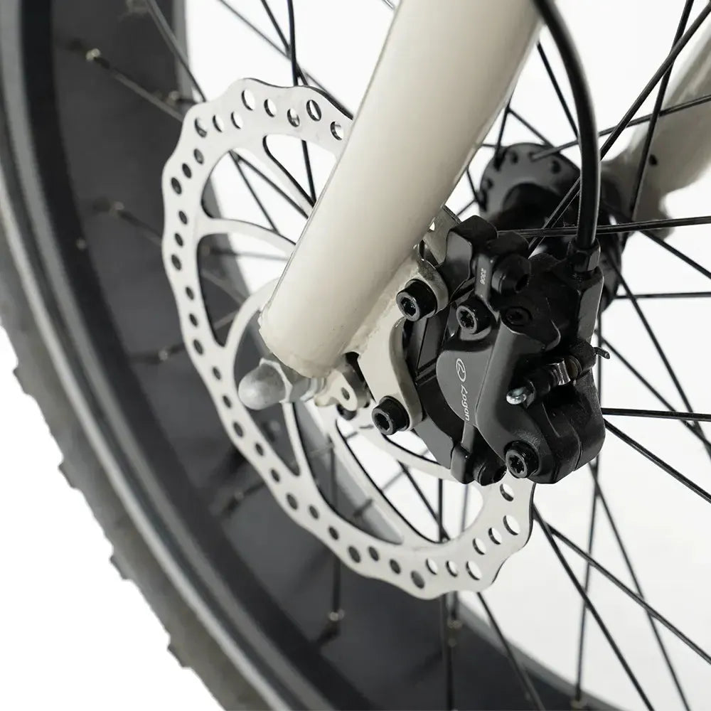 Diablo Zipper Fatbike - Grijs