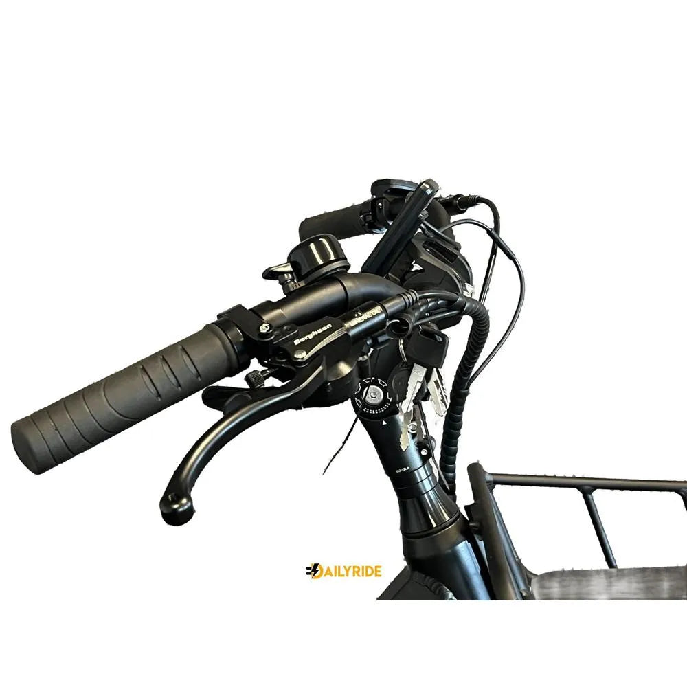 Diablo Big Foot Driewieler - Electrische minder valide fiets - Mat Zwart