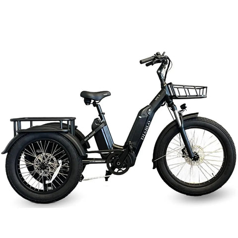 Diablo Big Foot Driewieler - Electrische minder valide fiets - Mat Zwart
