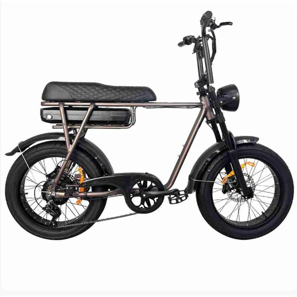 EB2 – Fatbike – Koffie