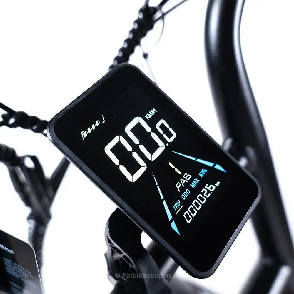 EB8 - Fatbike - Bruin