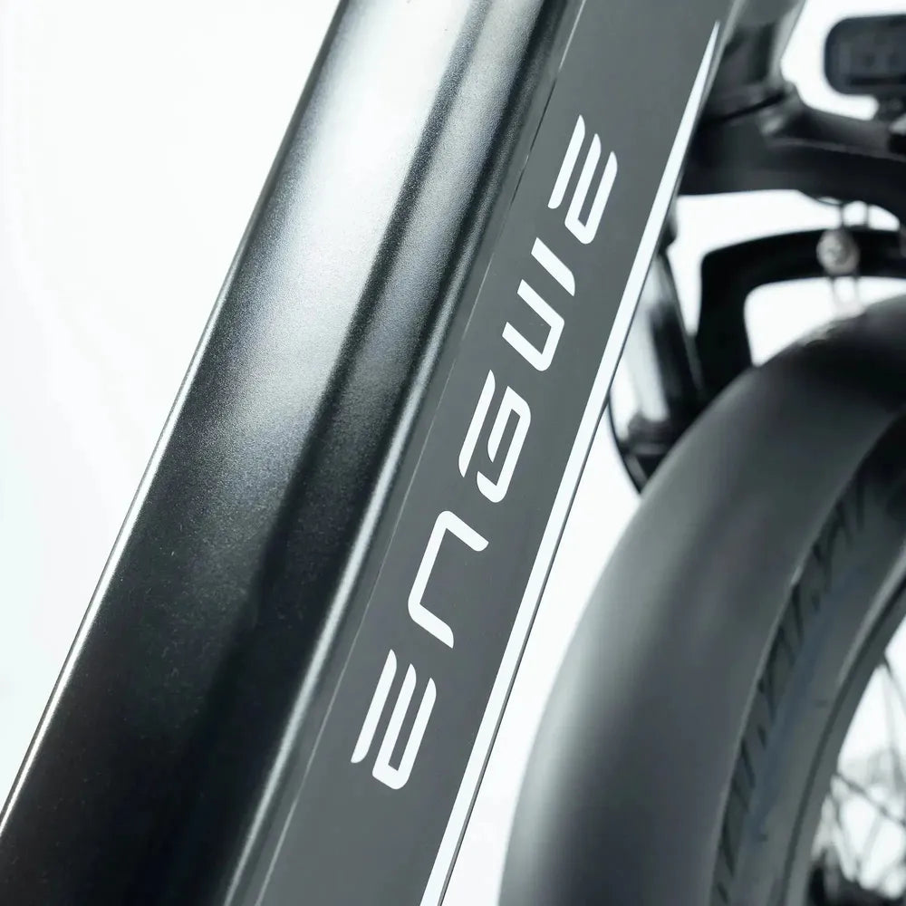 ENGWE L20 3.0 Boost - Zwart