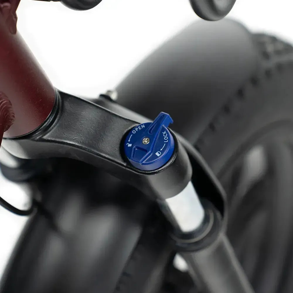 ENGWE L20 Boost - Rood