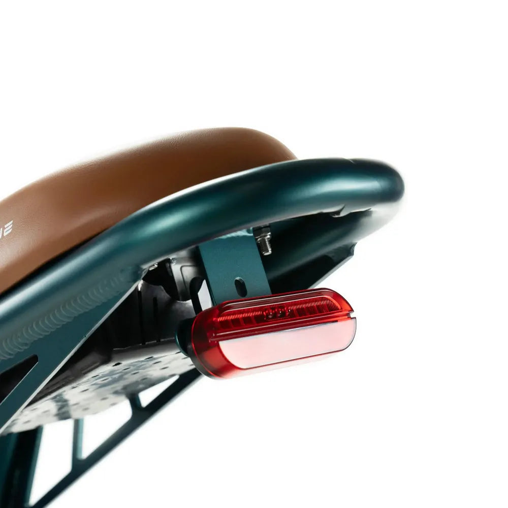 ENGWE M20 - Fatbike - Dubbele accu - Groen