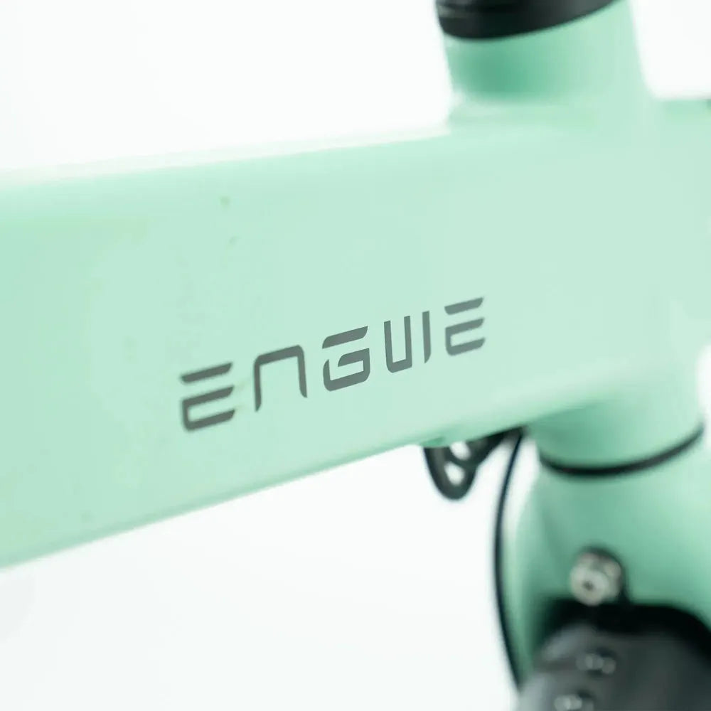 ENGWE P20 - Elektrische Vouwfiets - Groen