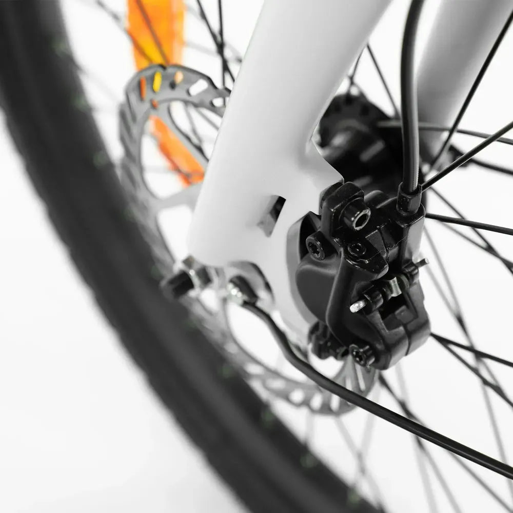 ENGWE P20 - Elektrische Vouwfiets - Zwart