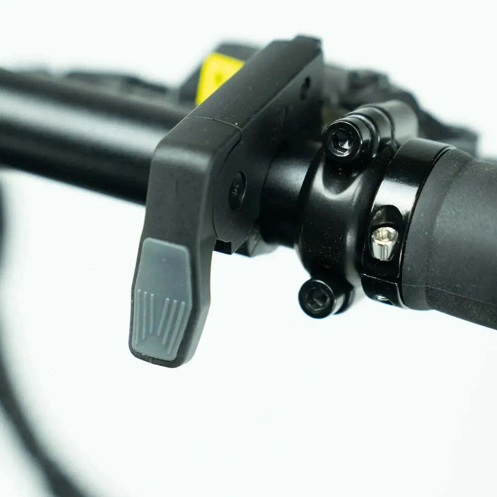 ENGWE P20 - Elektrische Vouwfiets - Zwart