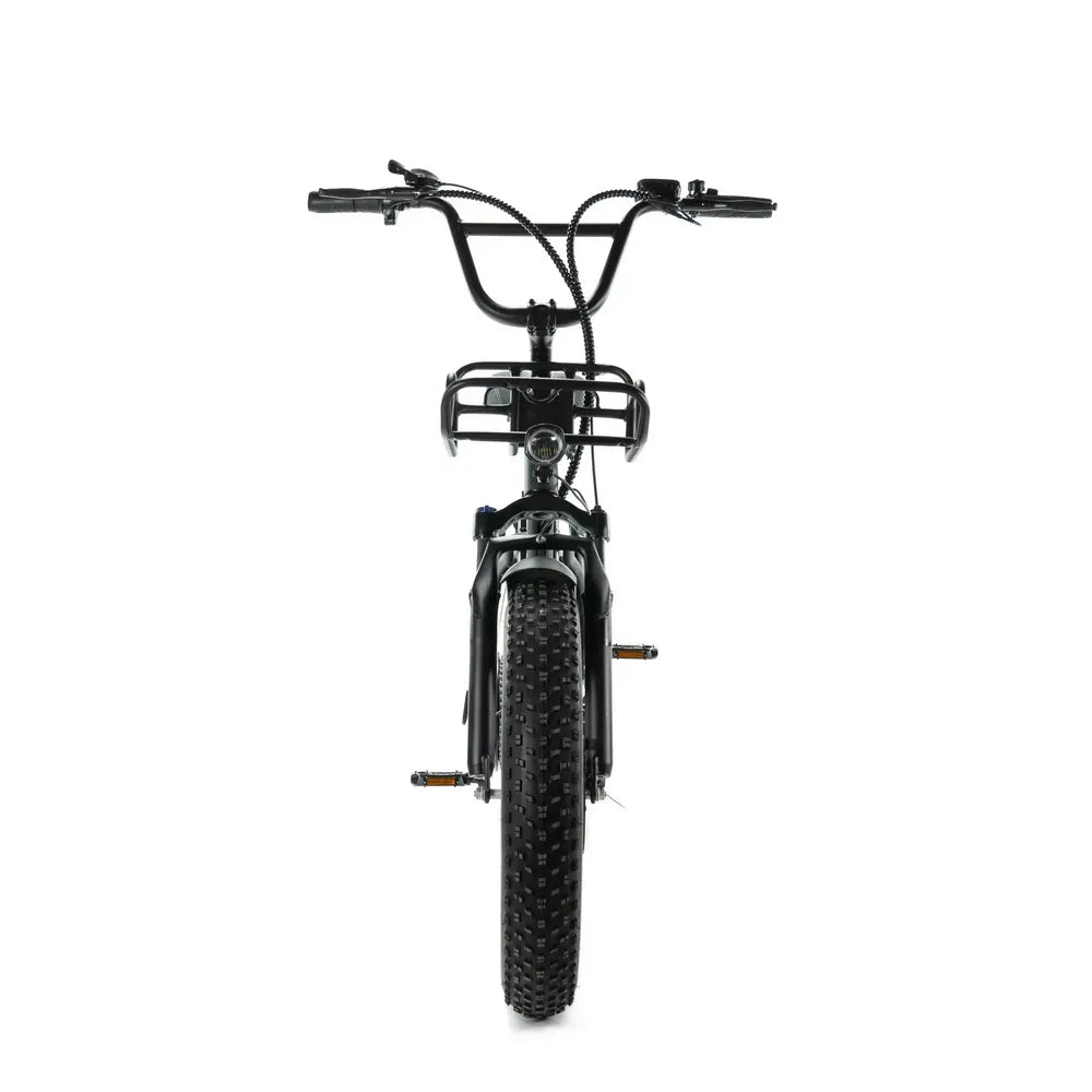 Engwe L20 - Fatbike - Zwart
