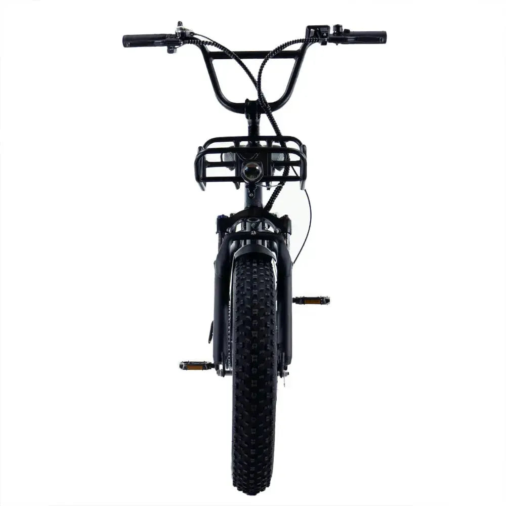Engwe L20 - Fatbike - Zwart