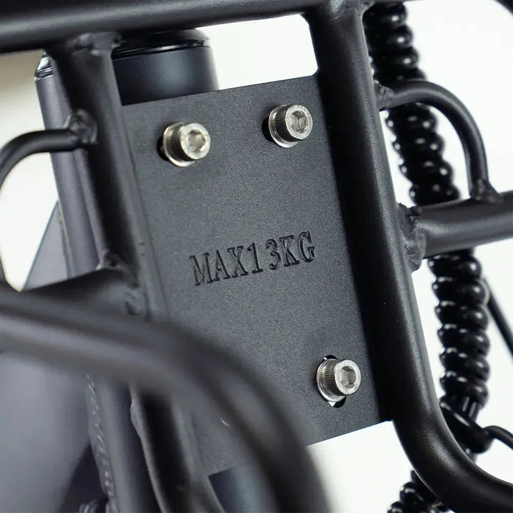 Engwe L20 - Fatbike - Zwart
