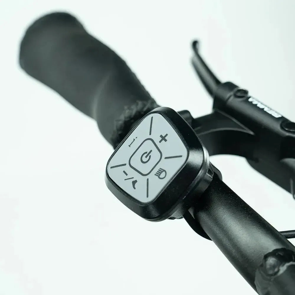 JOBOBIKE Transer - Longtail - Groen