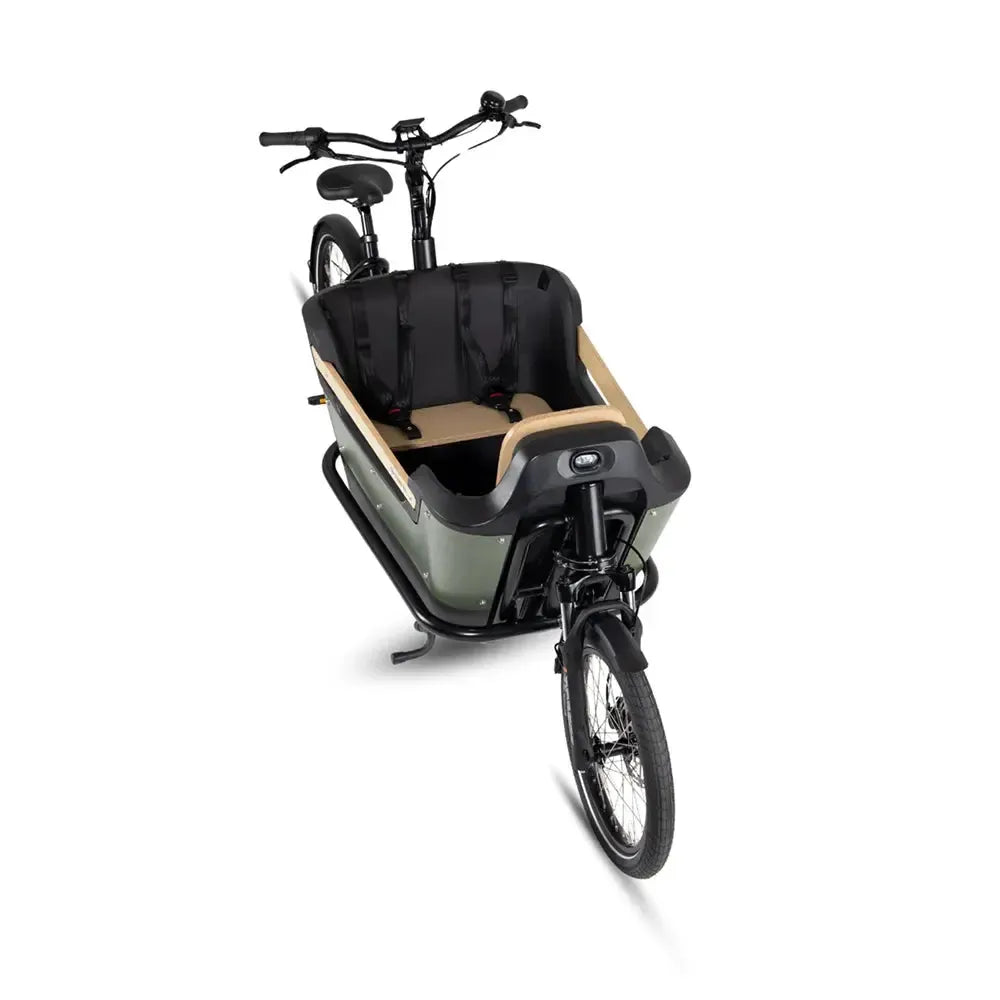 Royal Cargo Bike 2W Premium Plus - Green