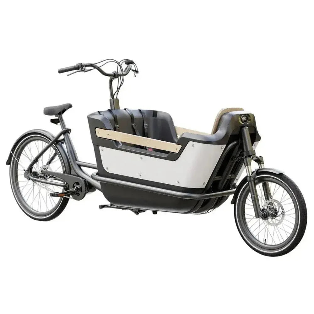 Royal Cargo Bike 2W Premium - Taupe Gray