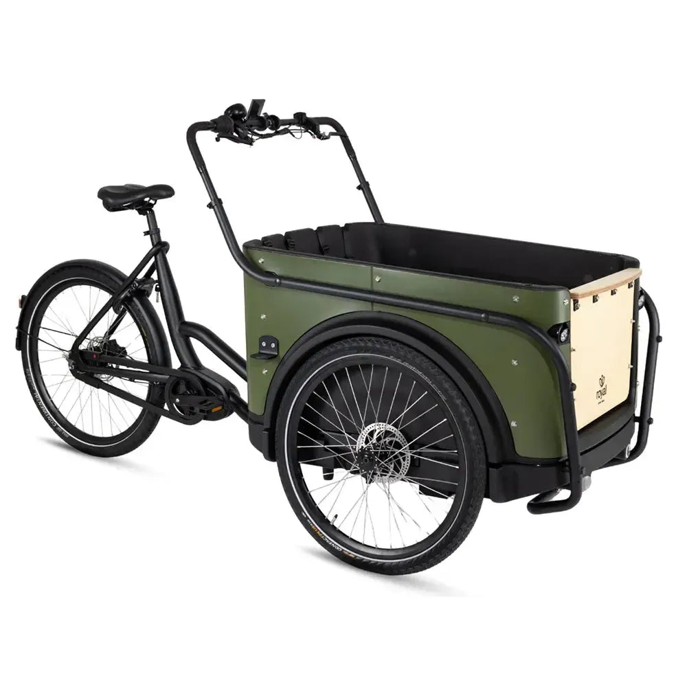 Royal Cargo Bike 3W Premium - Green
