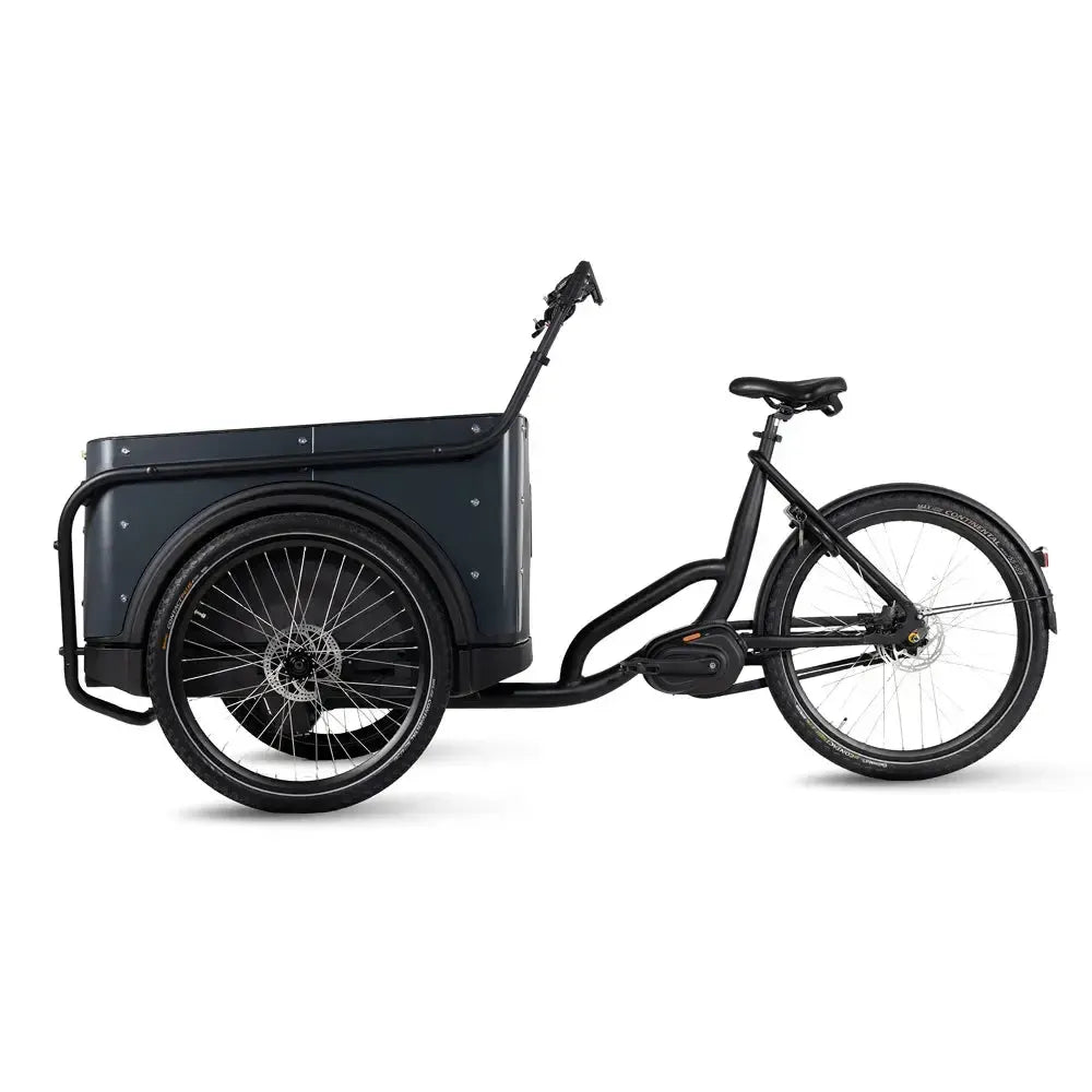 Royal Cargo Bike 3W Premium Plus - Anthracite