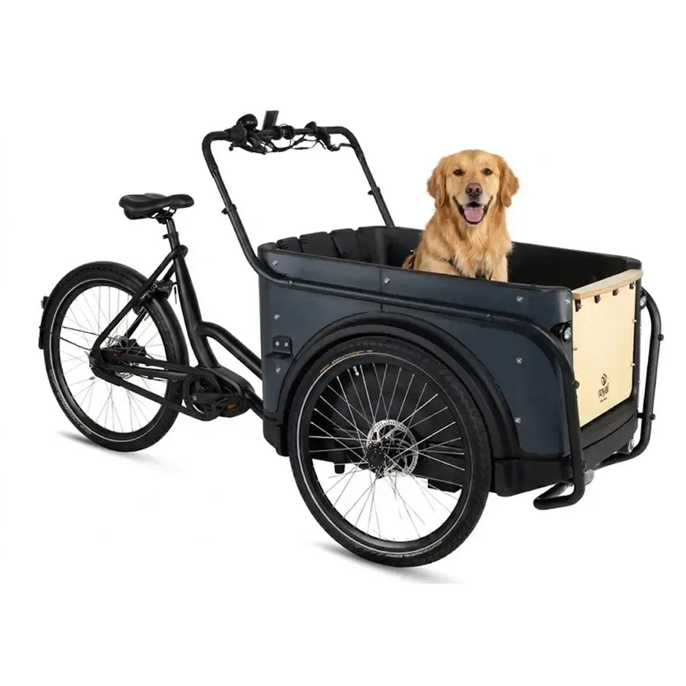 Royal Cargo Bike 3W Premium Plus - Anthracite