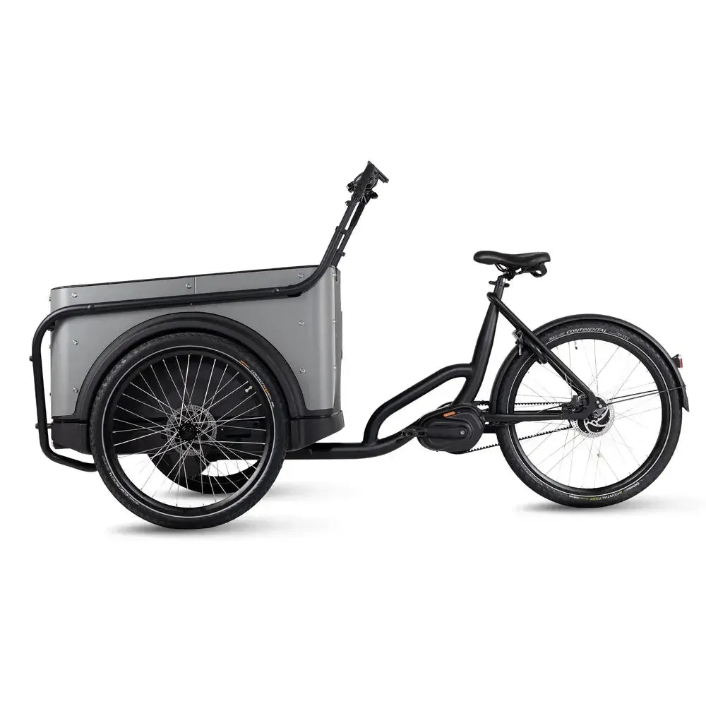 Royal Cargo Bike 3W Premium Plus - Taupe grijs