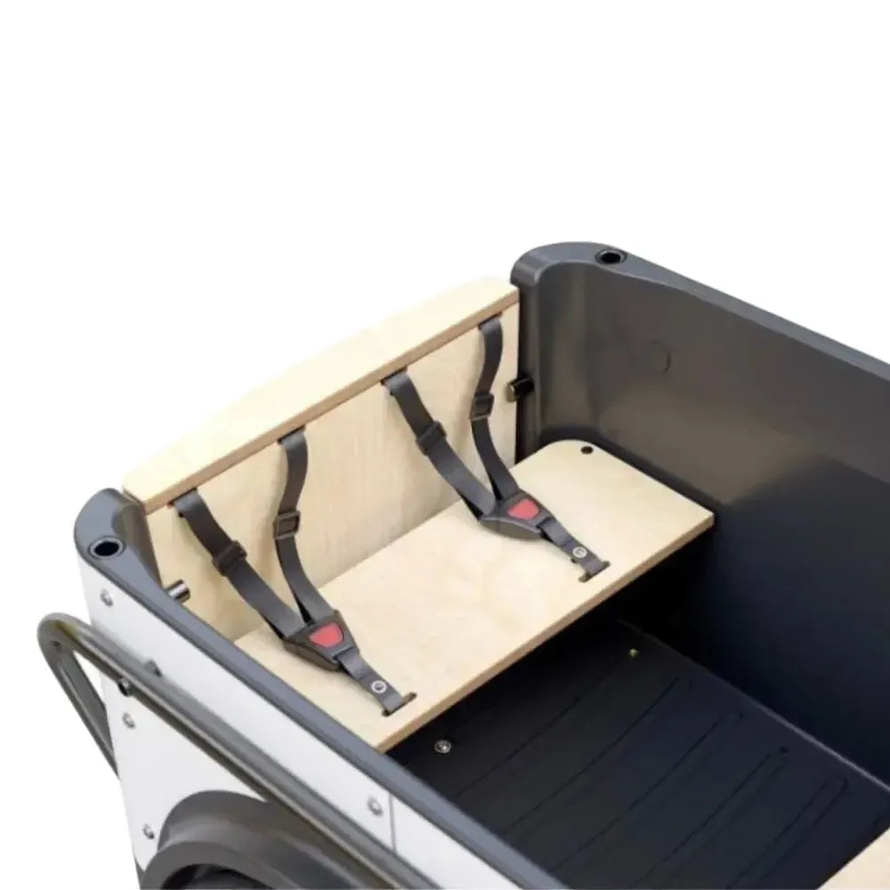 Royal Cargo Bike 3W Premium Plus - Taupe Gray