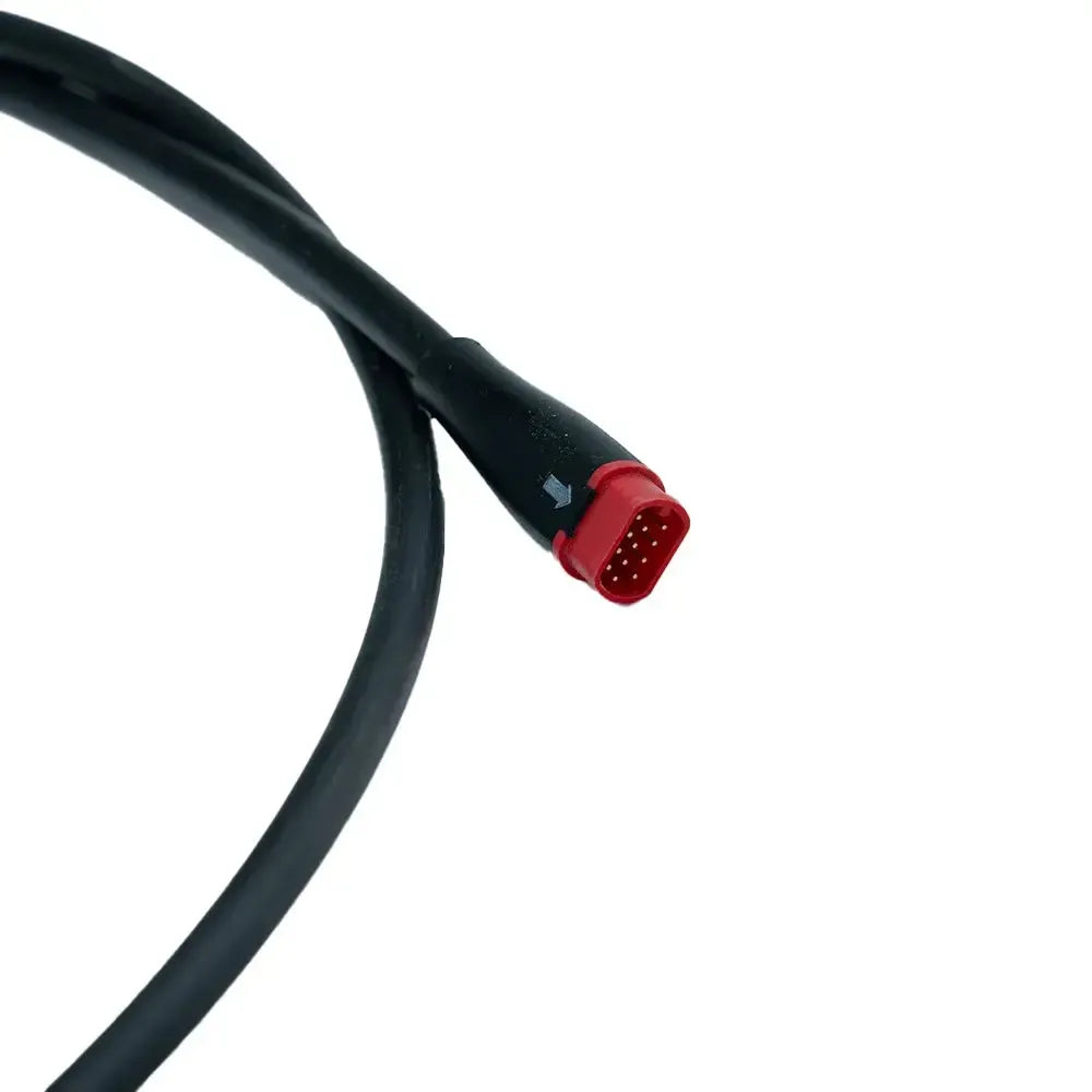 V20 - Kabelboom (blauwe kabel)