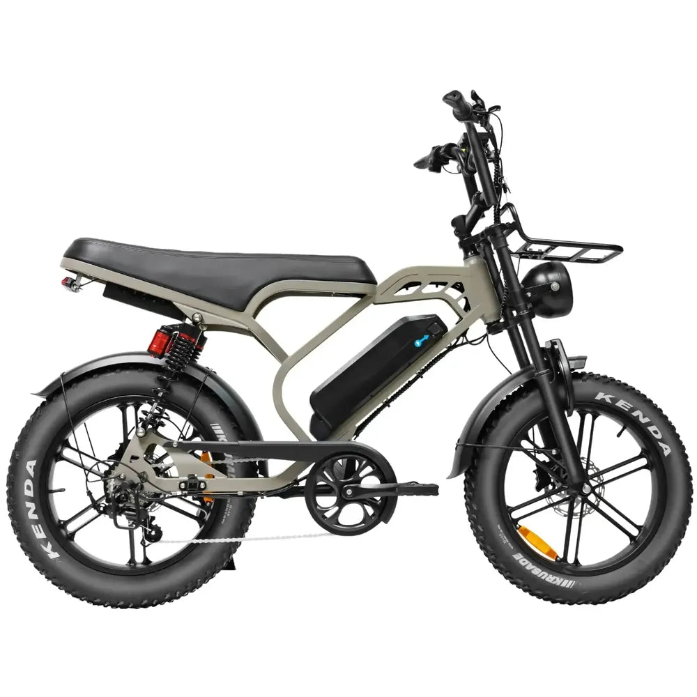 V20 Limited - Bruin