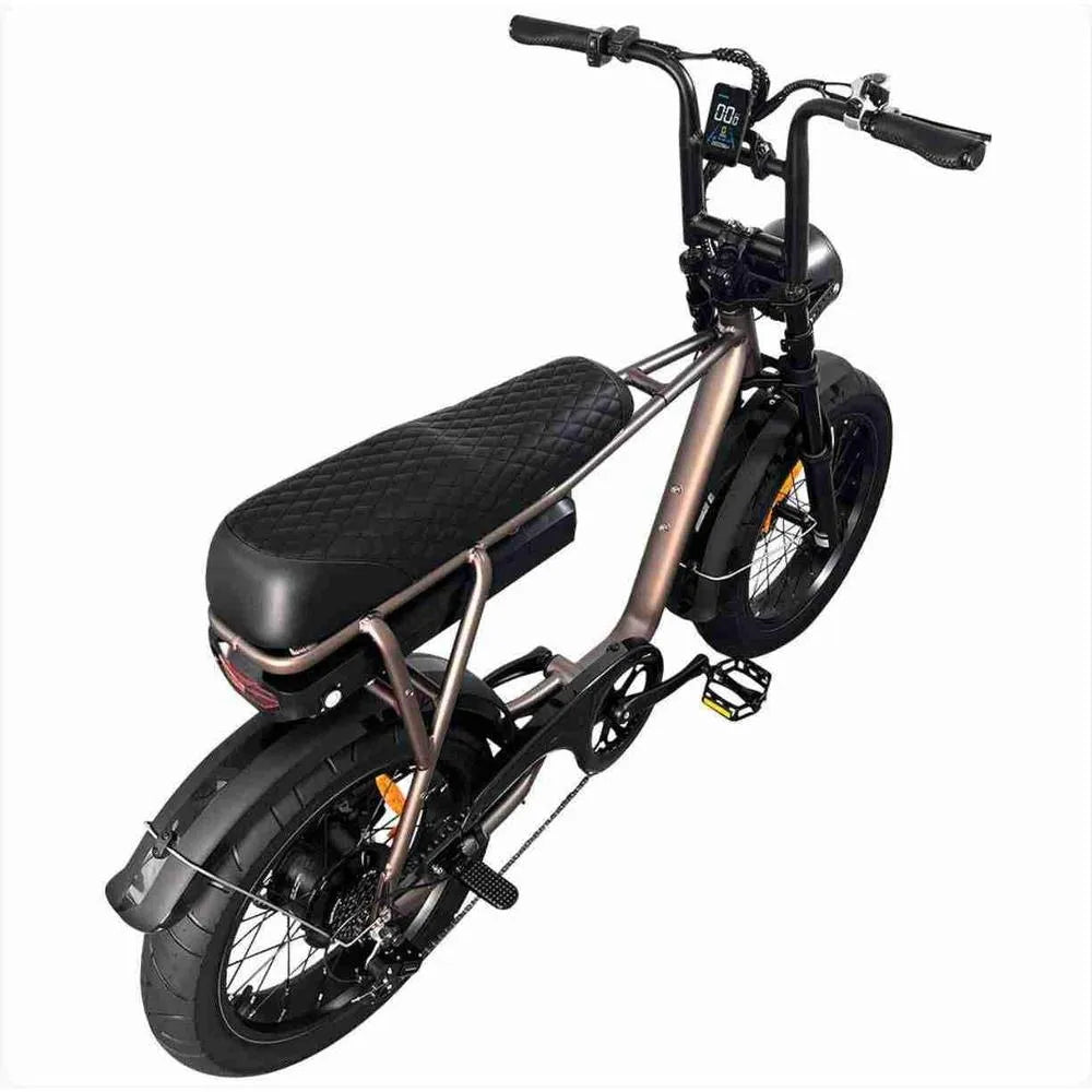 EB2 – Fatbike – Koffie