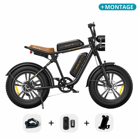 ENGWE M20 - Fatbike - Dubbele accu - Zwart