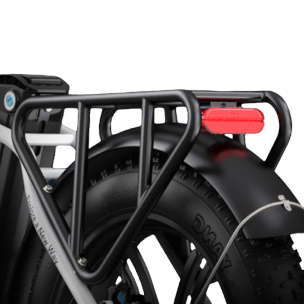 Engwe L20 - Fatbike - Zwart