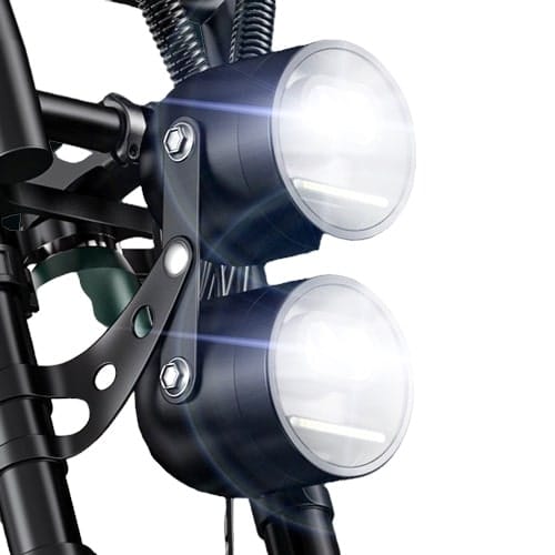 ENGWE M20 - Fatbike - Dubbele accu - Zwart