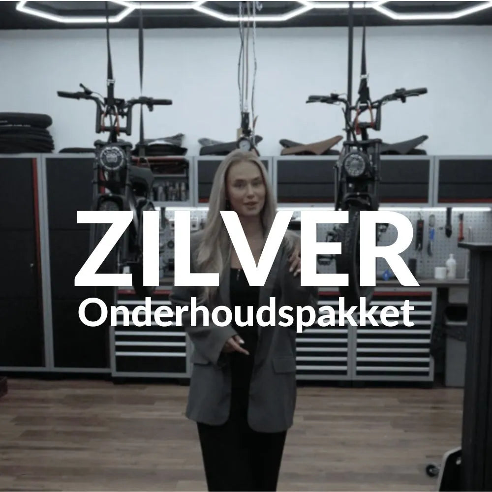 Onderhoudsbeurt - Zilver