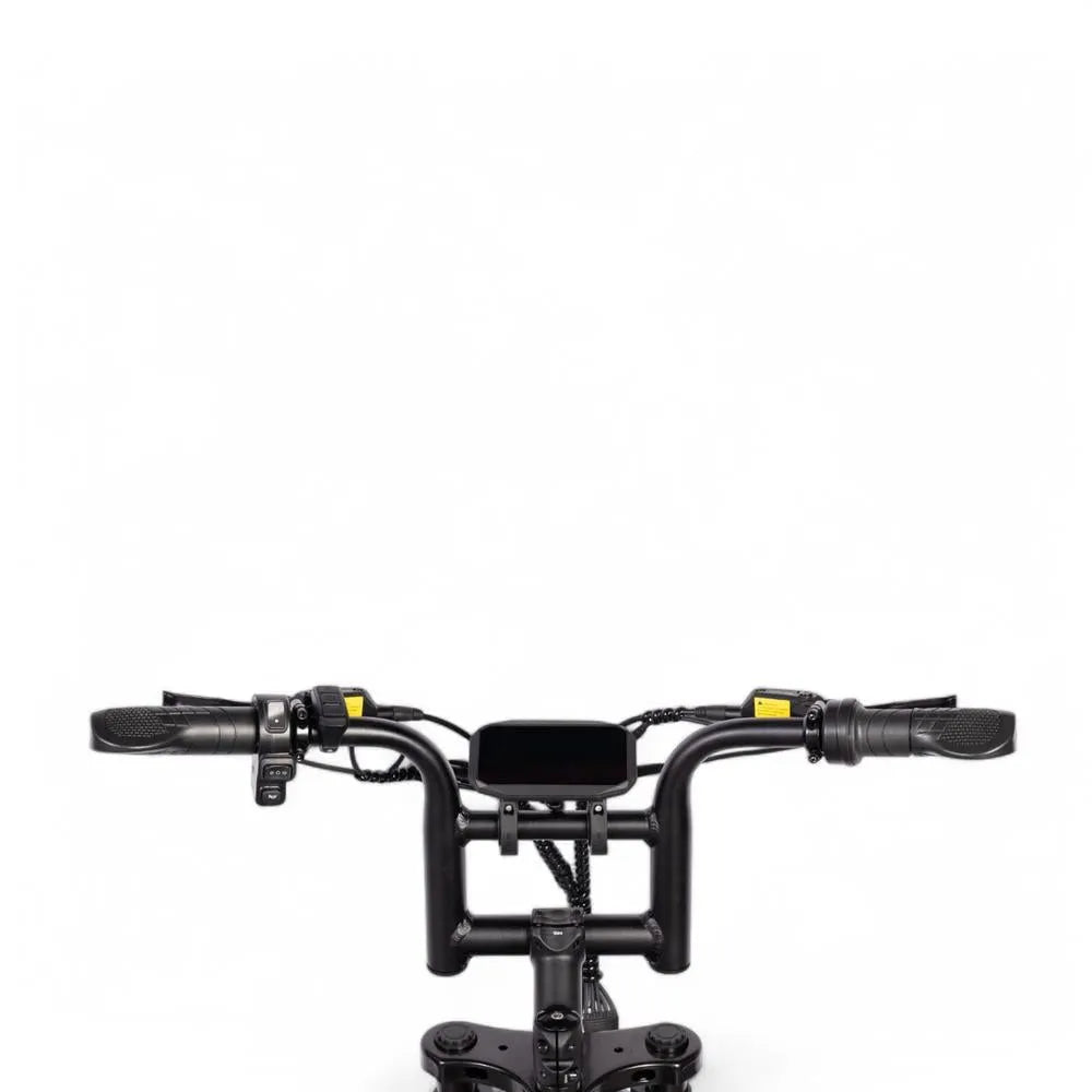 V20 Mini - Zwart - Fatbike