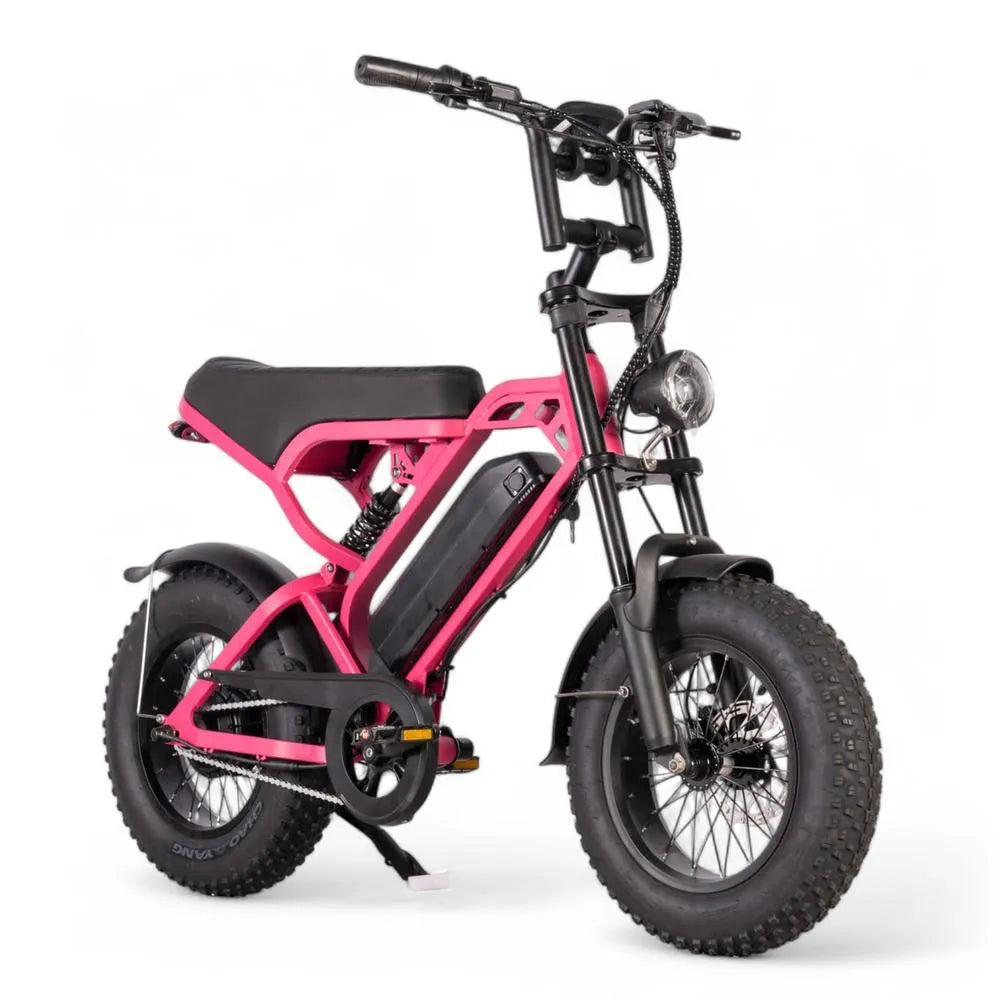 V20 Mini - Roze - Fatbike
