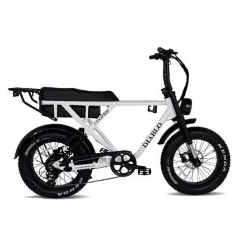 Diablo Cooper Fatbike - Matt Zwart