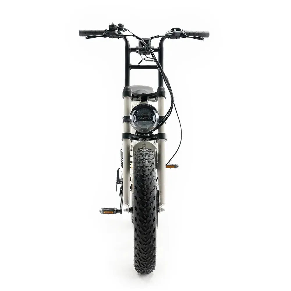 Diablo Zipper Fatbike - Grijs
