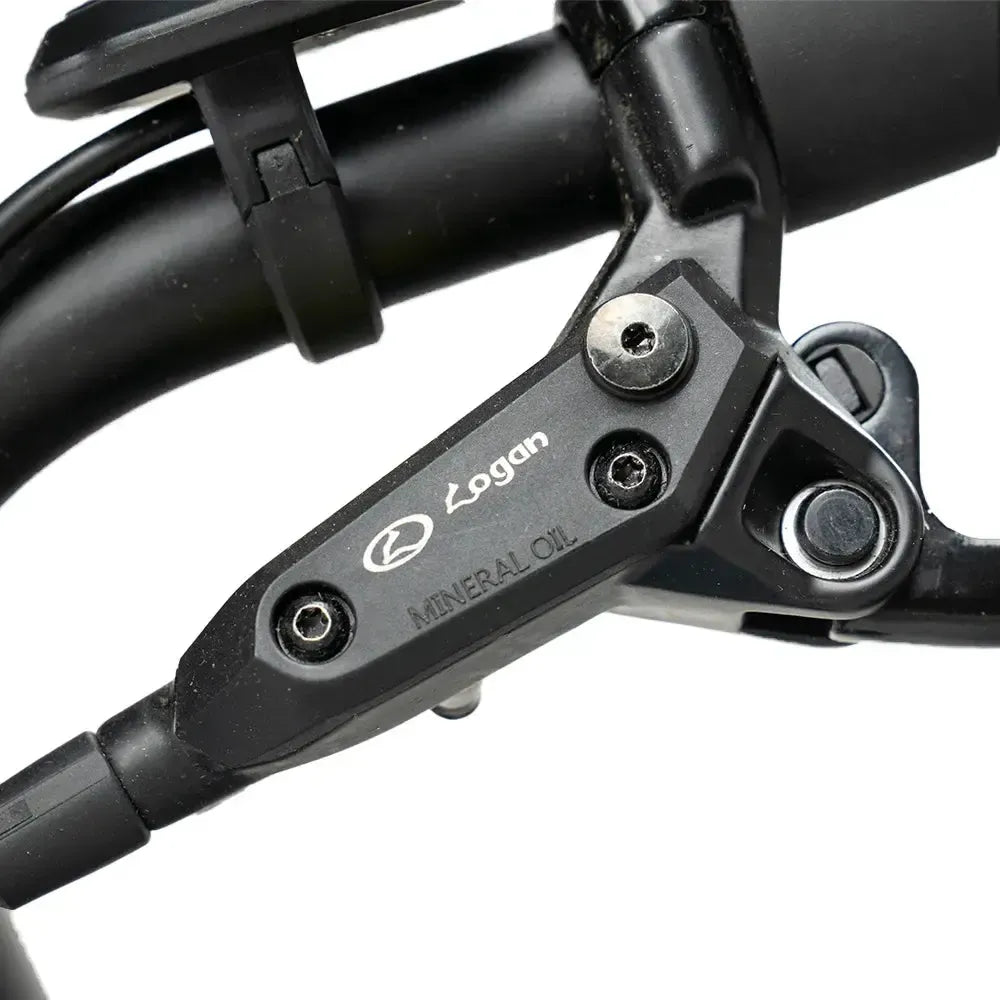 Diablo Zipper Fatbike - Grijs