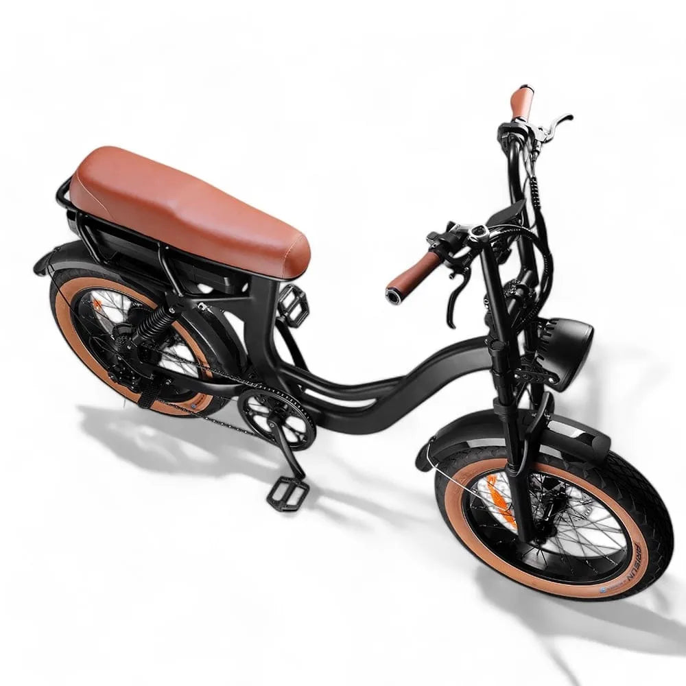 EB8 - Fatbike - Bruin