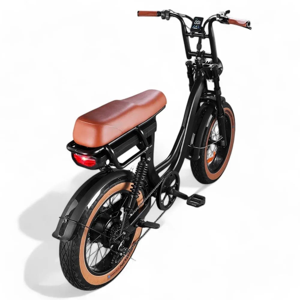 EB8 - Fatbike - Bruin