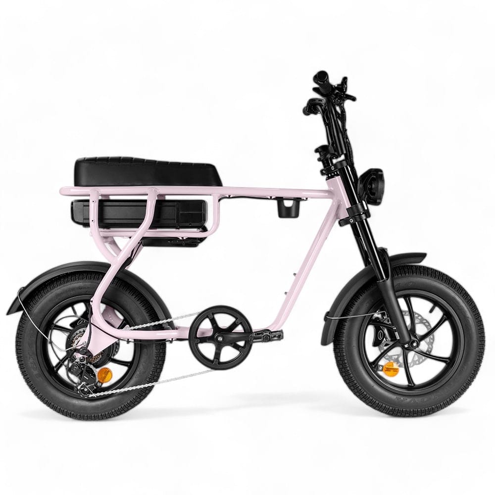 Kinder Fatbike EB16 | Bruin | Hydraulische remmen