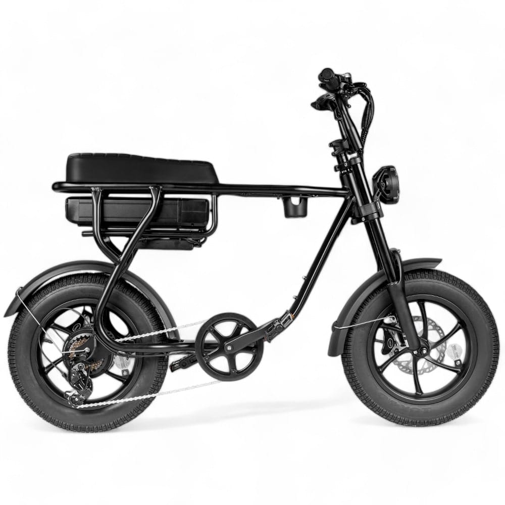 Kinder Fatbike EB16 | Bruin | Hydraulische remmen