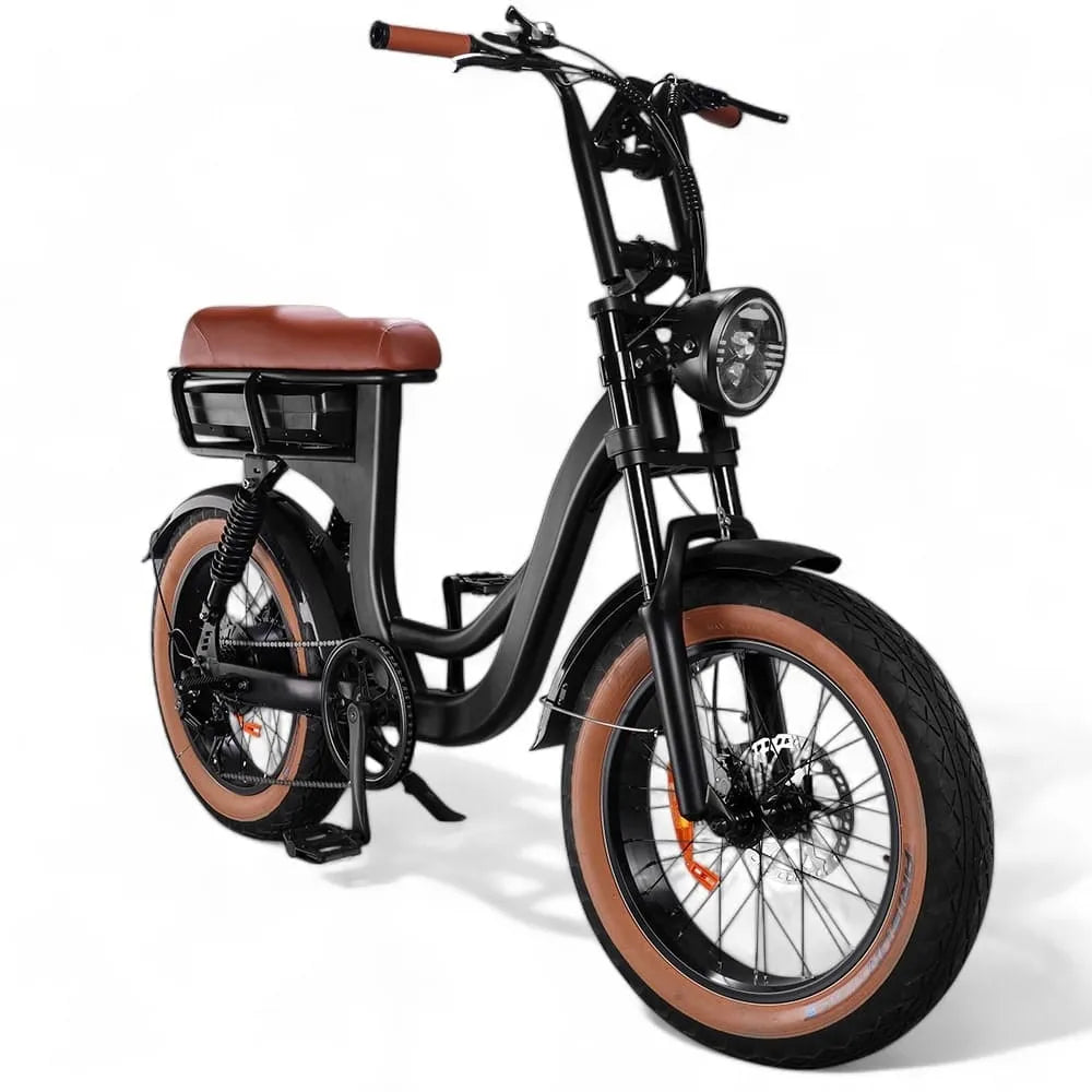 EB8 - Fatbike - Bruin