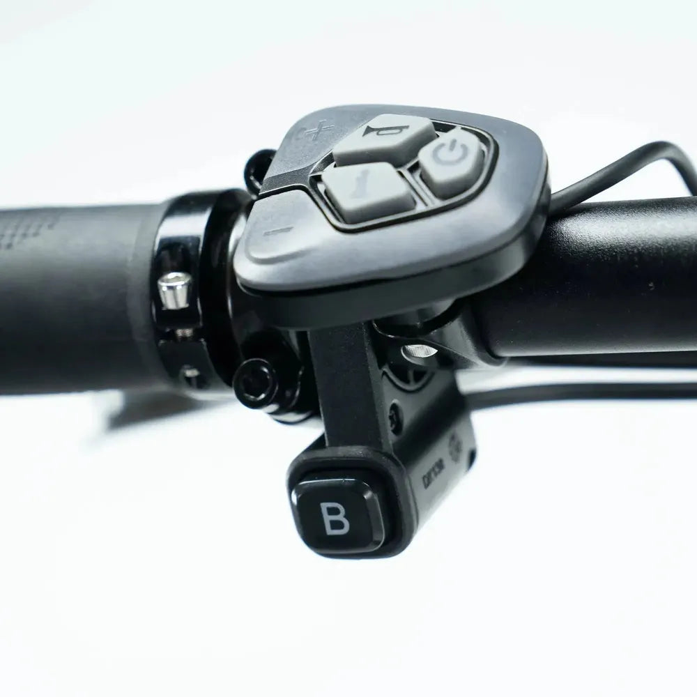 ENGWE L20 3.0 Pro - Black