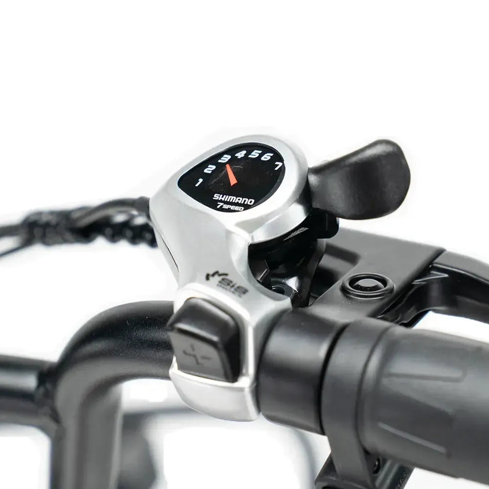 ENGWE L20 Boost - Rood