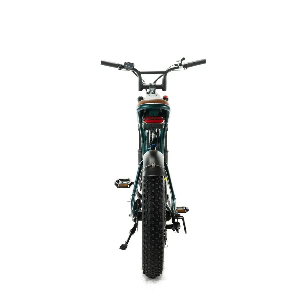 ENGWE M20 - Dual Battery - Green