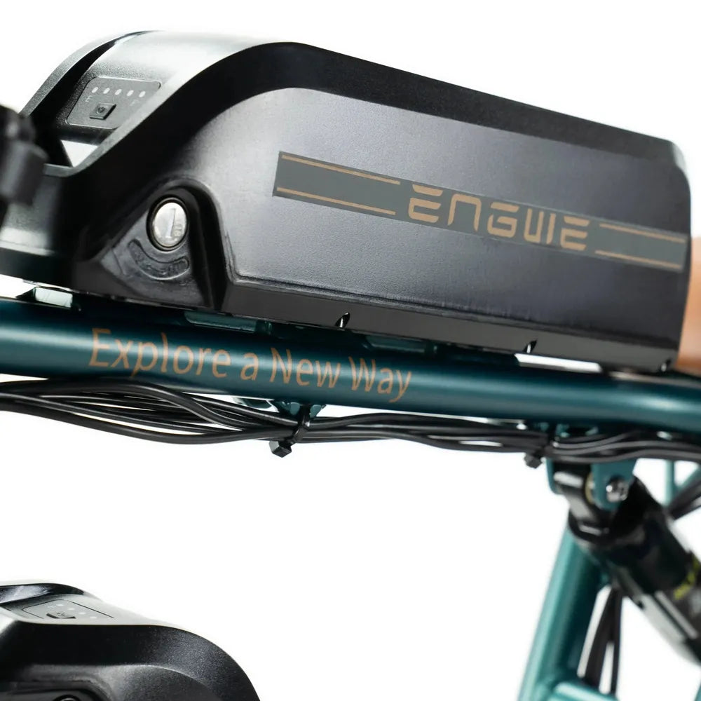 ENGWE M20 - Dual Battery - Green