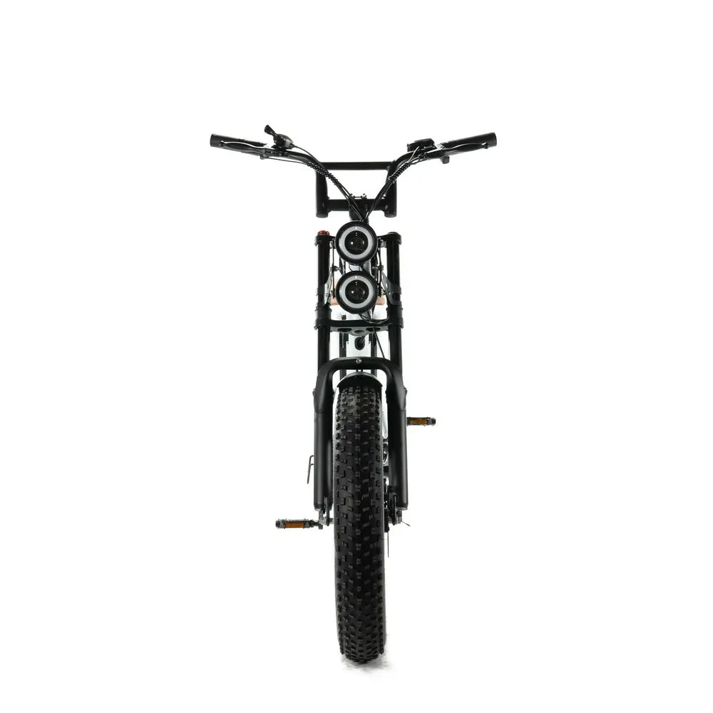 ENGWE M20 - Dubbele Accu - Wit